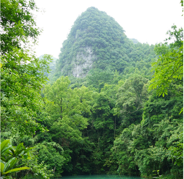 賞華夏大地，游多彩貴州-－2021年廣東博皓快樂行-2