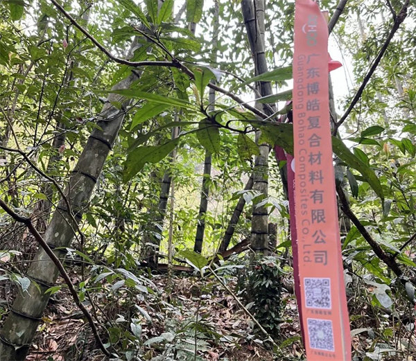 凝心聚力再出發(fā)，風(fēng)雨同舟赴星溪！--廣東博皓2024龍年首登星溪之旅     -2